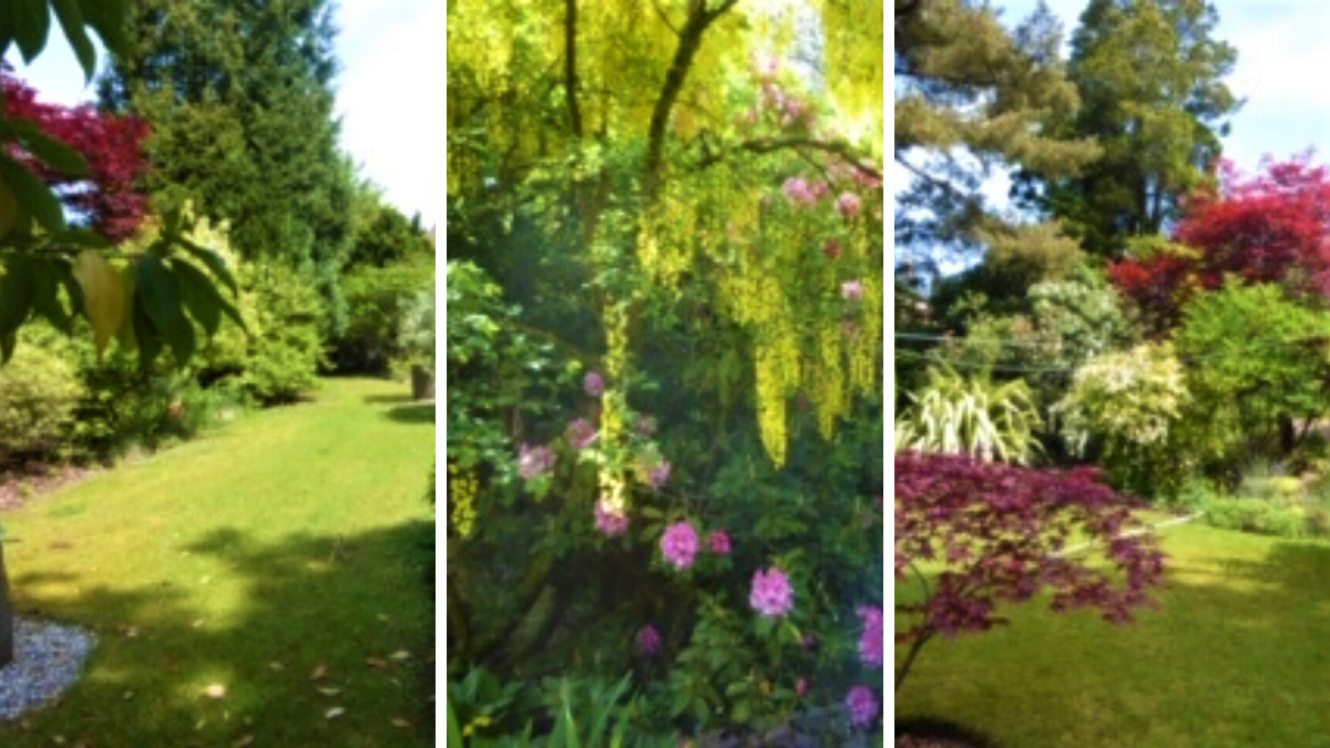 You’re welcome to visit our garden – Joan Sadden