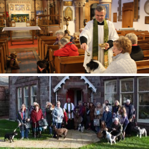 Pet Blessing Service Nov 2018