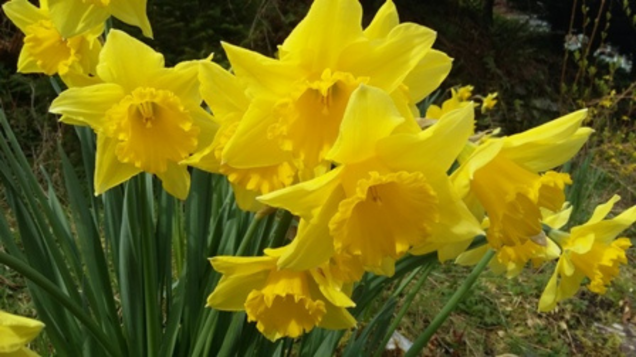 St Michael’s Notice on Resumption of Communal Worship