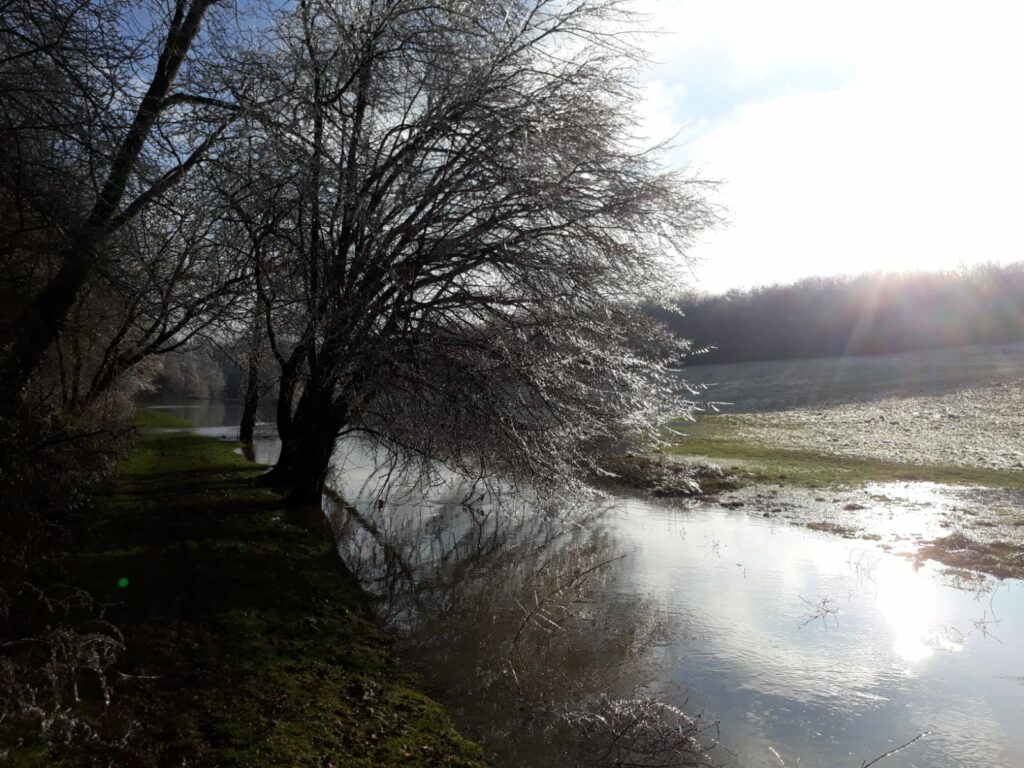 Reflections on Ash Wednesday